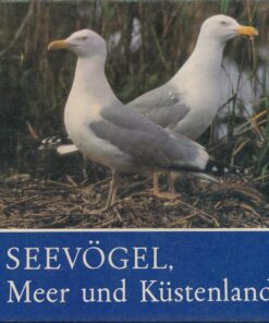 Seevögel Meer und Küstenland