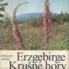 Erzgebirge Krusne Hory