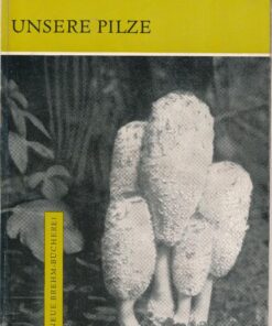 Unsere Pilze