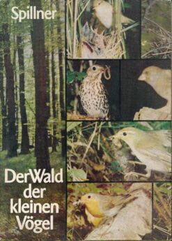 Der Wald der kleinen Vögel