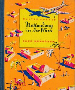 Notlandung in der Wüste
