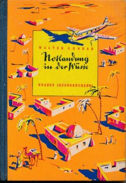 Notlandung in der Wüste