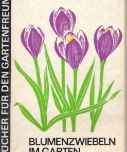 Blumenzwiebeln im Garten