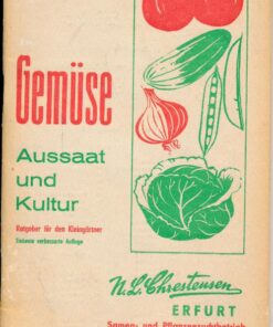 Gemüse Aussat und Kultur