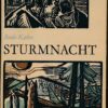 Sturmnacht