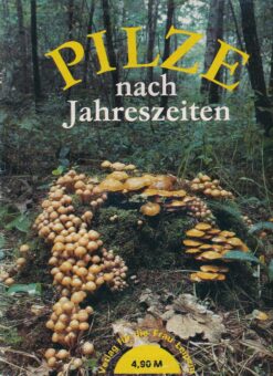 Pilze nach Jahreszeiten