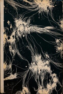 Der Mann aus dem andern Jahrtausend