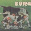Bummi 1986 Heft 15 Zeitschrift für Vorschulkinder