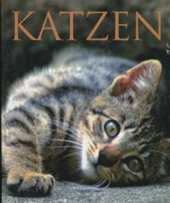 Katzen