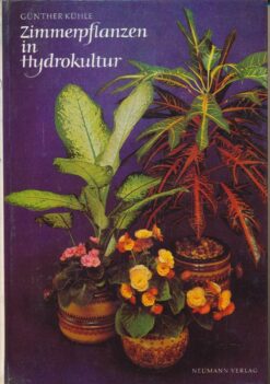 Zimmerpflanzen in Hydrokultur