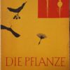Die Pflanze Ein Lehrheft für den Biologieunterricht Lehrbuch DDR 1961