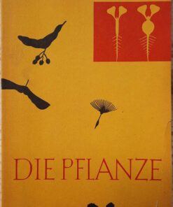 Die Pflanze Ein Lehrheft für den Biologieunterricht Lehrbuch DDR 1961