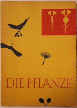 Die Pflanze Ein Lehrheft für den Biologieunterricht Lehrbuch DDR 1961