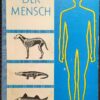 DER MENSCH EIN LEHRBUCH FÜR DEN BIOLOGIE UNTERRICHT Lehrbuch DDR 1964