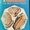 FOSSILIEN aus dem Paläozoikum DDR 1981