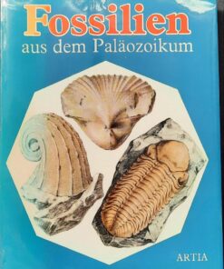 FOSSILIEN aus dem Paläozoikum DDR 1981