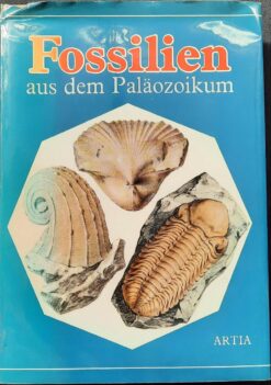 FOSSILIEN aus dem Paläozoikum DDR 1981