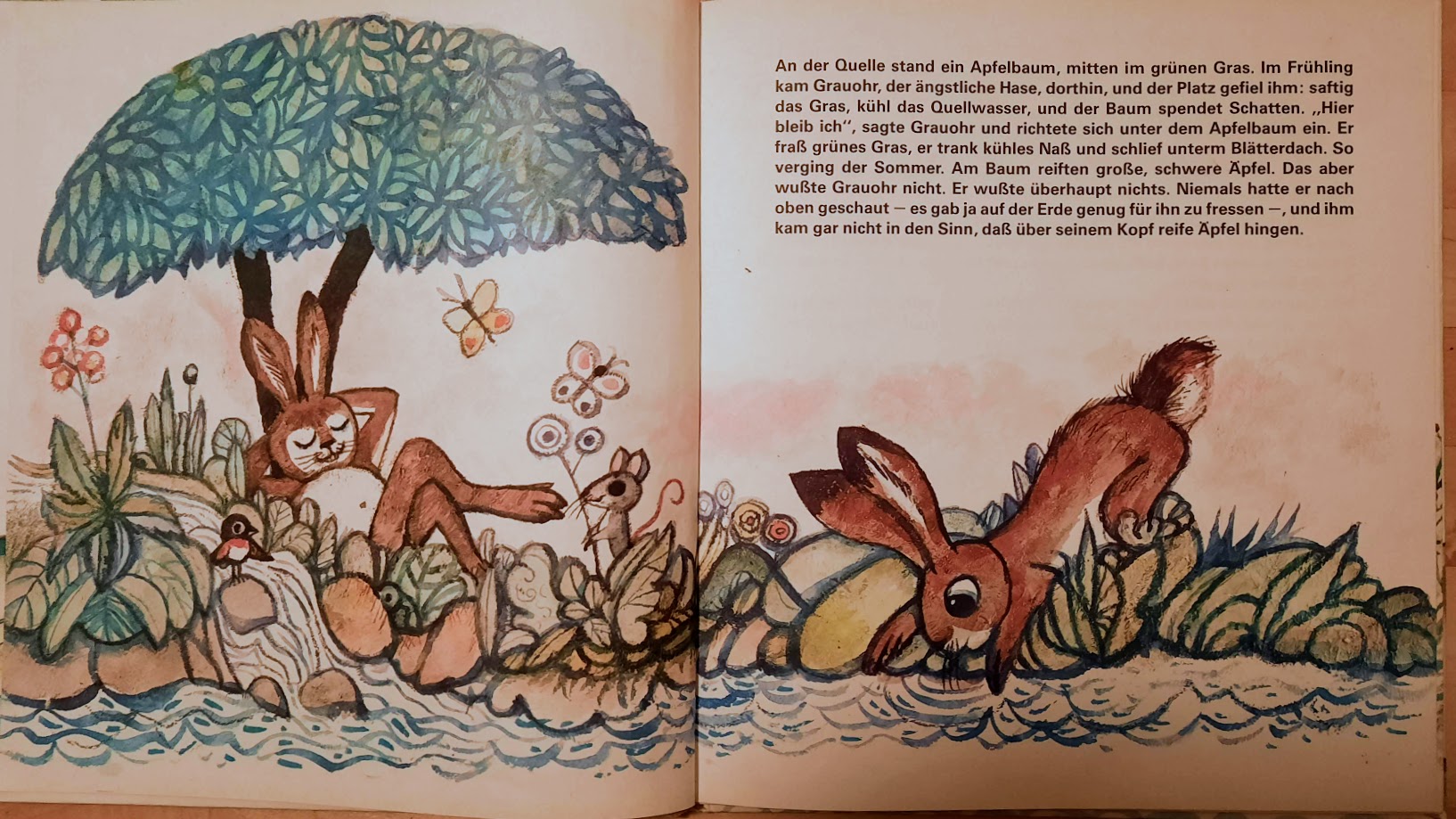 Plumps ist da – Bild 3