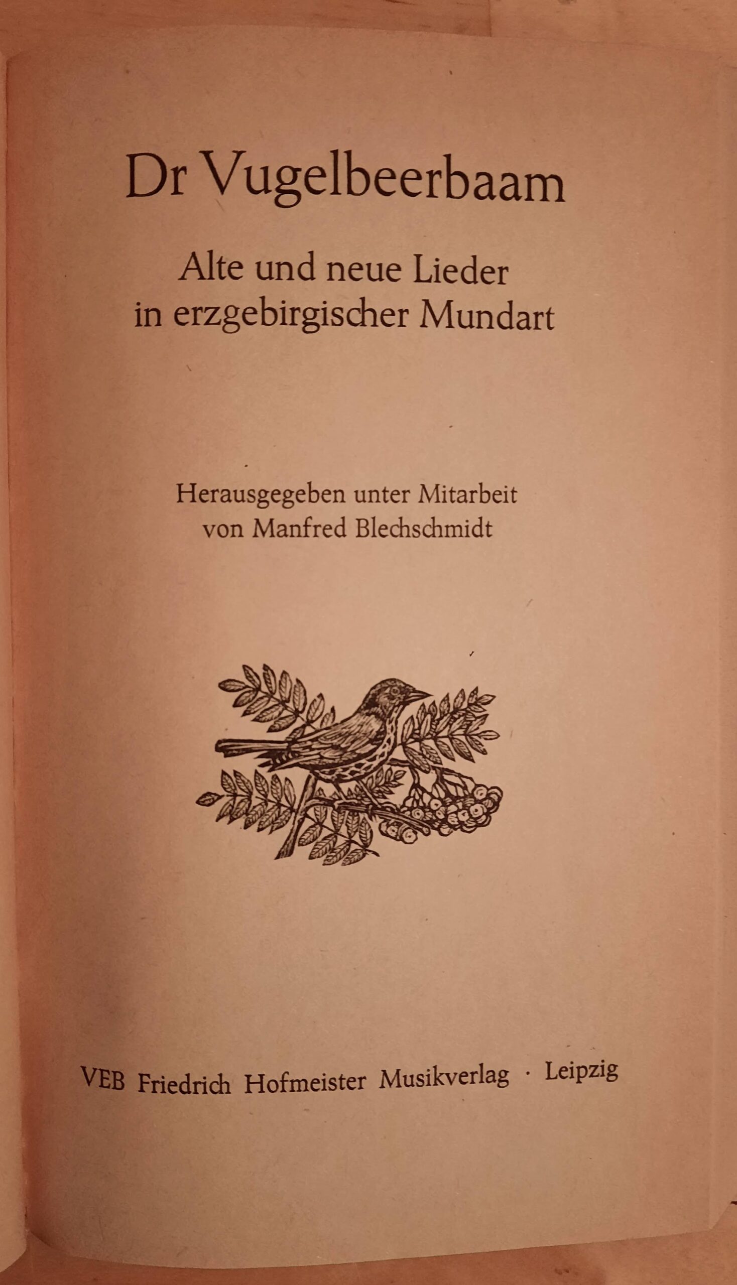 Dr Vugelbeerbaam – Alte und neue Lieder in erzgebirgischer Mundart – Bild 3