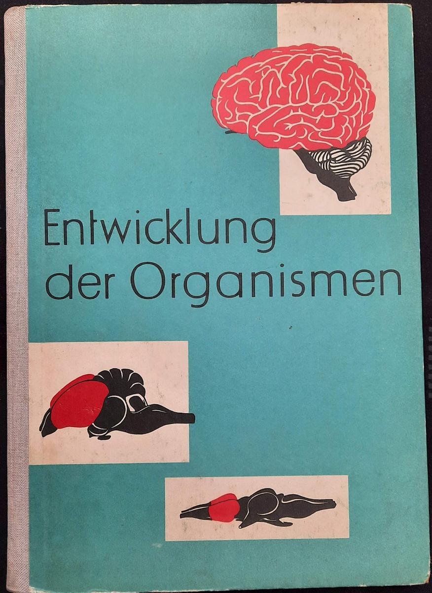 Entwicklung der Organismen Schulbuch Lehrbuch DDR 1968