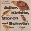 Adler, Kiebitz, Storch und Schwan von Johannes Breitmeier