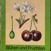 Blühen und Fruchten beim Obst - Wolfgang Blasse