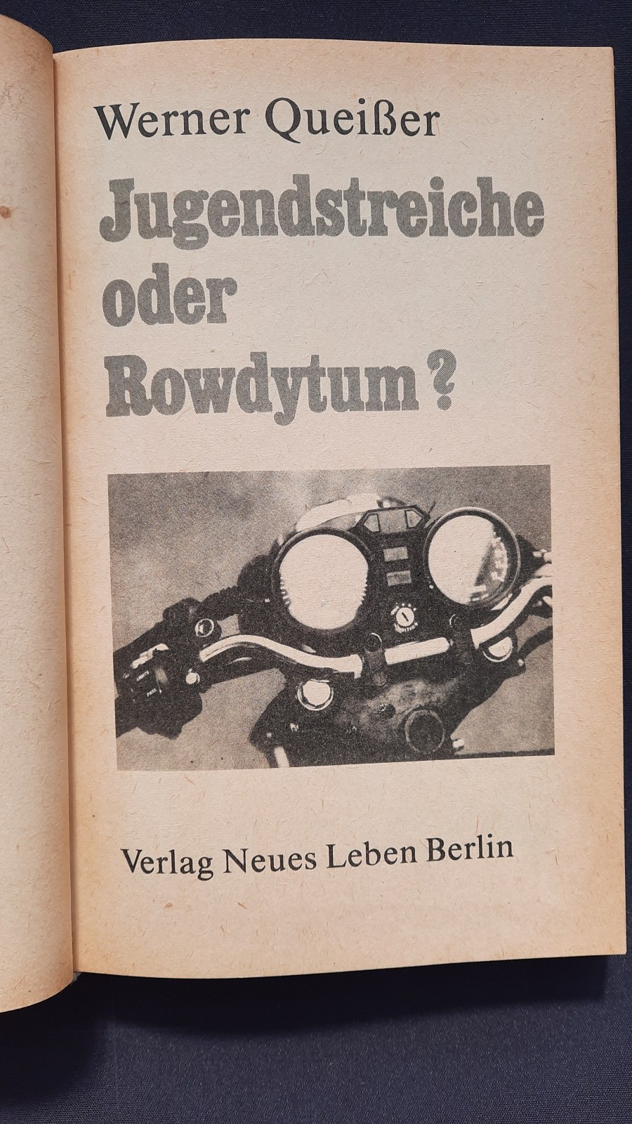 Jugendstreiche oder Rowdytum? – Bild 3