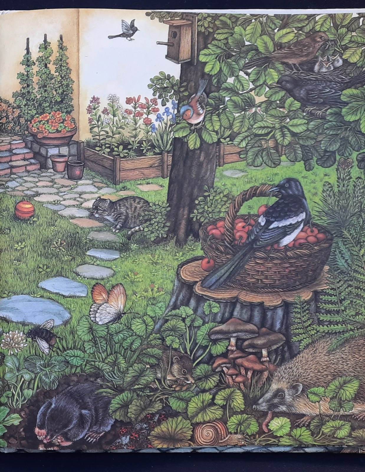 Im Garten grünt und blüht es – Bild 4