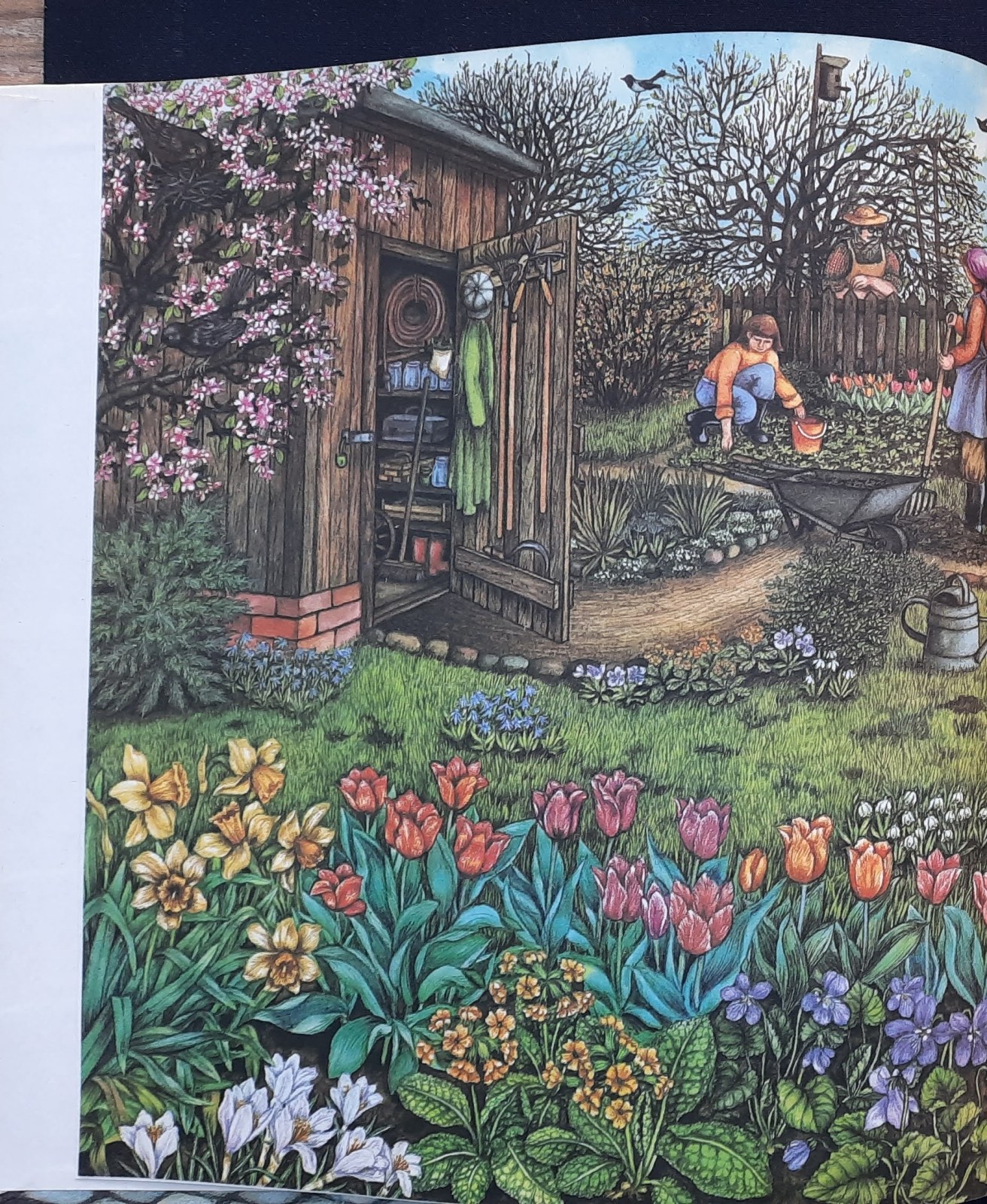 Im Garten grünt und blüht es – Bild 5